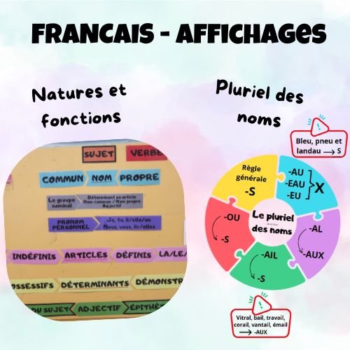 Français : natures, fonctions et pluriel des noms